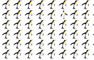 Find a difference penguin in less than 5 seconds, can you?