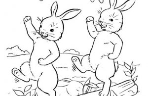 Find Two Hidden Bunnies.