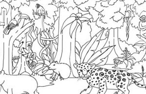 Find a Snail hidden in the Amazon rainforest.