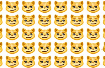 Can You Spot The Odd One Out Right Away?