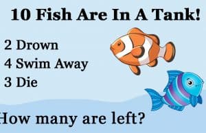 Can You Solve This Fish Math Riddle In 60 Seconds?