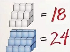Mind-Twisting Cube Puzzle: Only a Few People Get It Right!